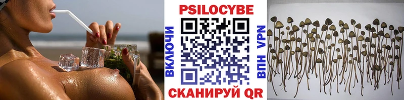 Псилоцибиновые грибы мицелий  Купить закладки  Морозовск 